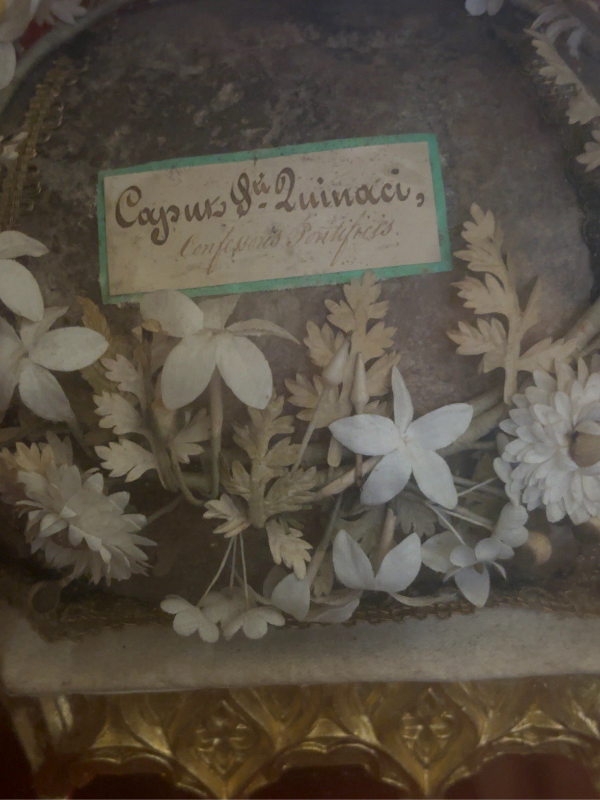 Close-up van het relieklabel 'Caput S. Quinaci, Confessoris Pontificis', omringd door gedroogde bloemen.